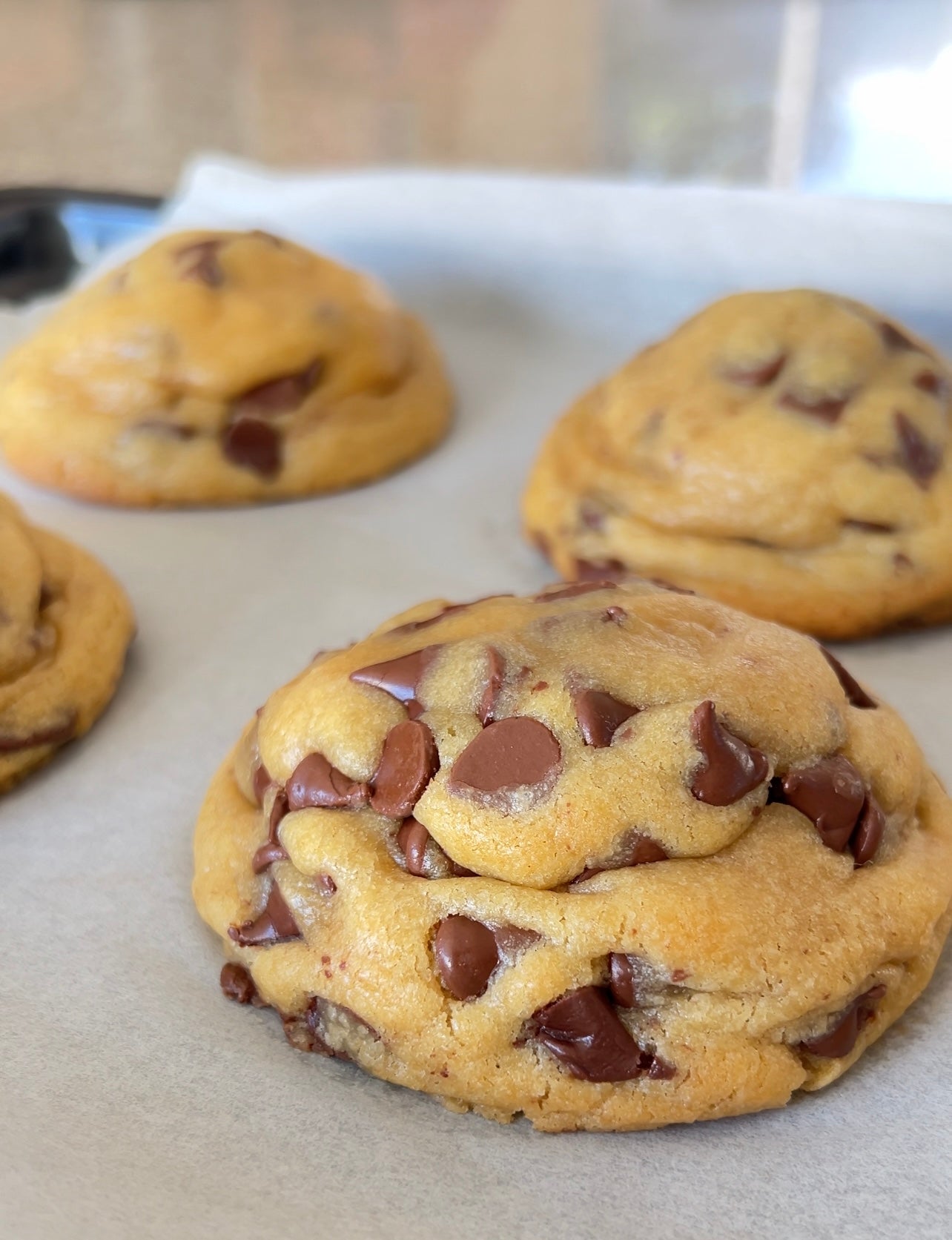 Chocolate chip cookie